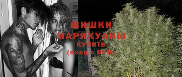 прущая мука Верея
