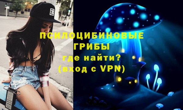 прущая мука Верея