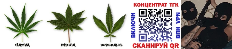 kraken вход  что такое   Глазов  Дистиллят ТГК THC oil 