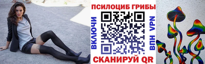 даркнет сайт  Глазов  kraken вход  Псилоцибиновые грибы Psilocybe 